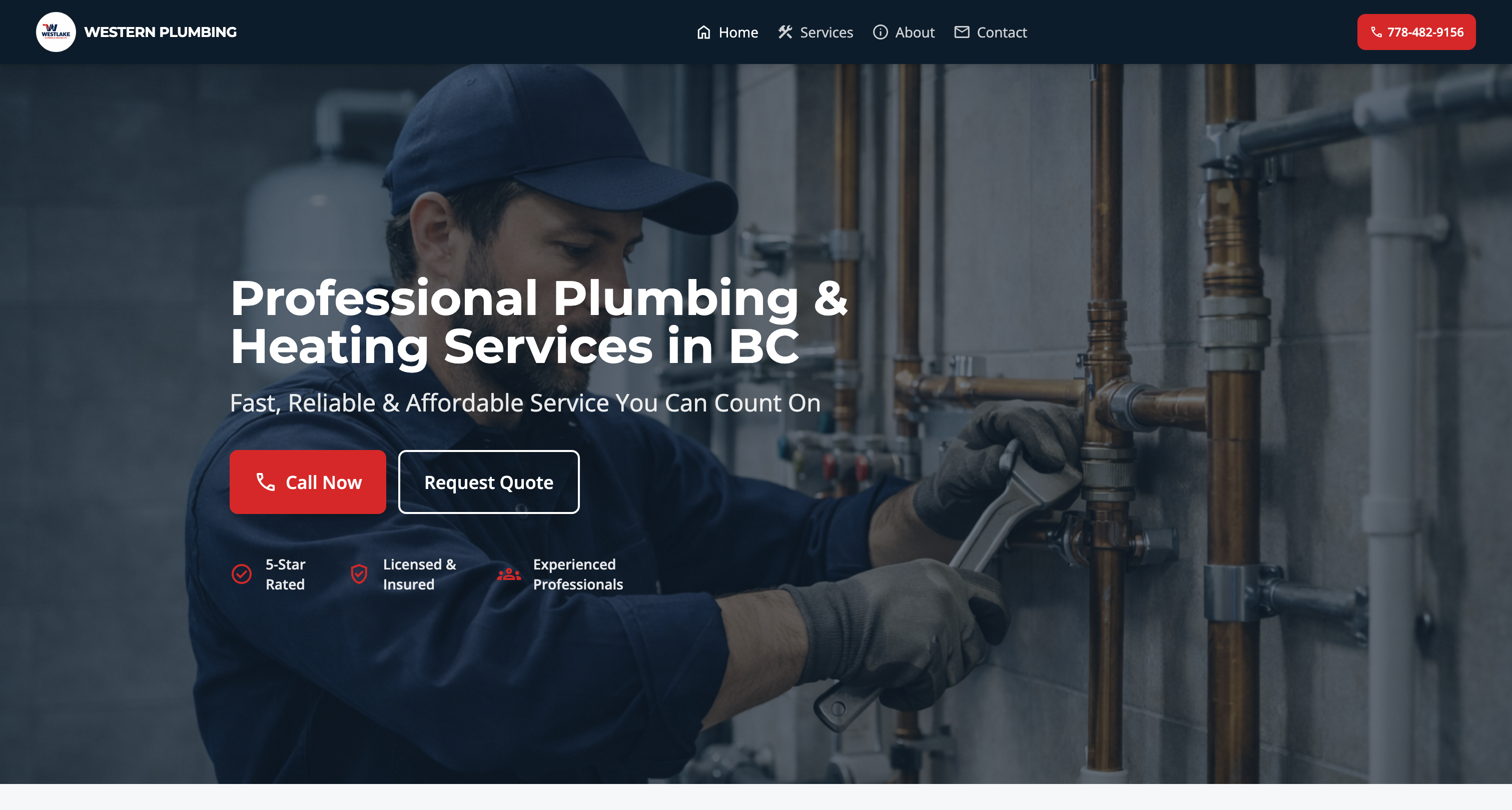 Western Plumbing project cover